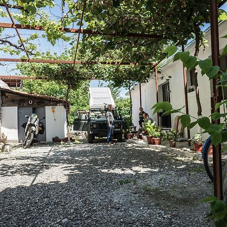 Eco Garten Guest House Shkoder Exterior photo