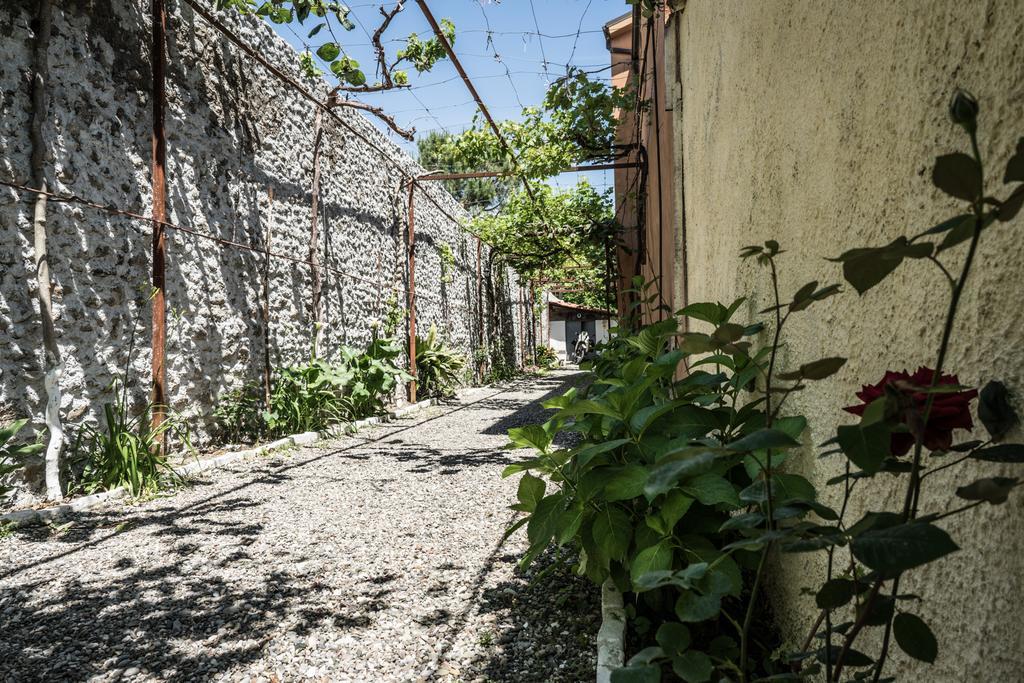 Eco Garten Guest House Shkoder Exterior photo