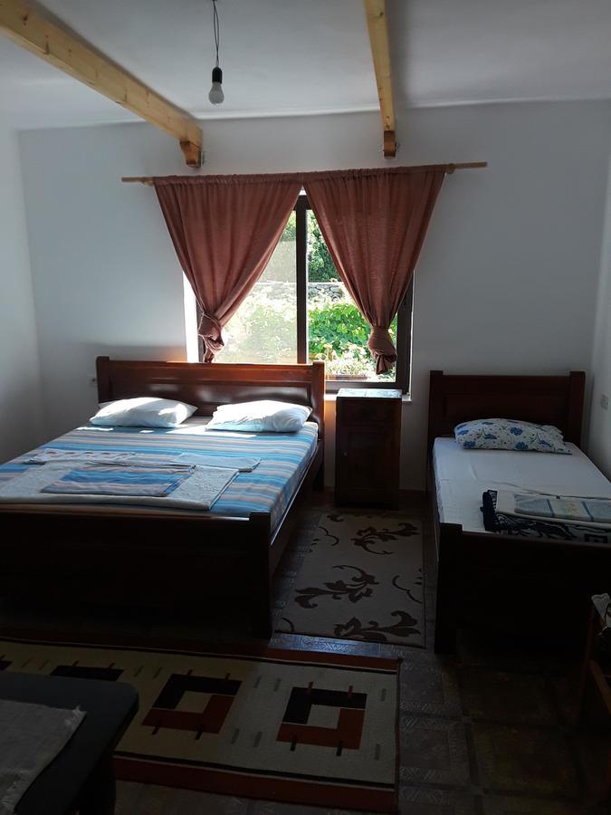 Eco Garten Guest House Shkoder Exterior photo